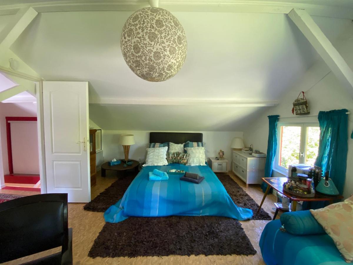 Appartement Le Loft au-dessus des Pins à Lacanau Extérieur photo