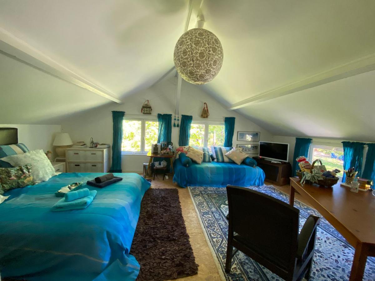 Appartement Le Loft au-dessus des Pins à Lacanau Extérieur photo