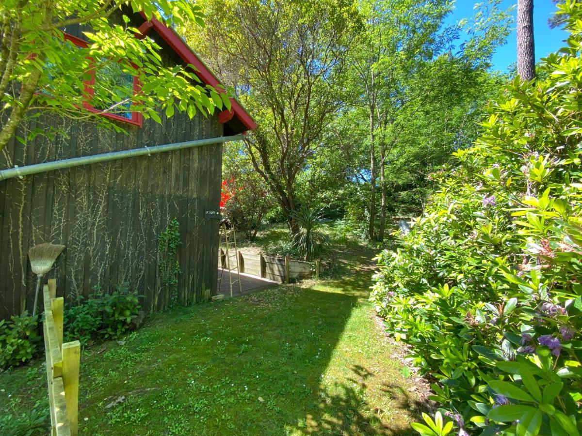 Appartement Le Loft au-dessus des Pins à Lacanau Extérieur photo