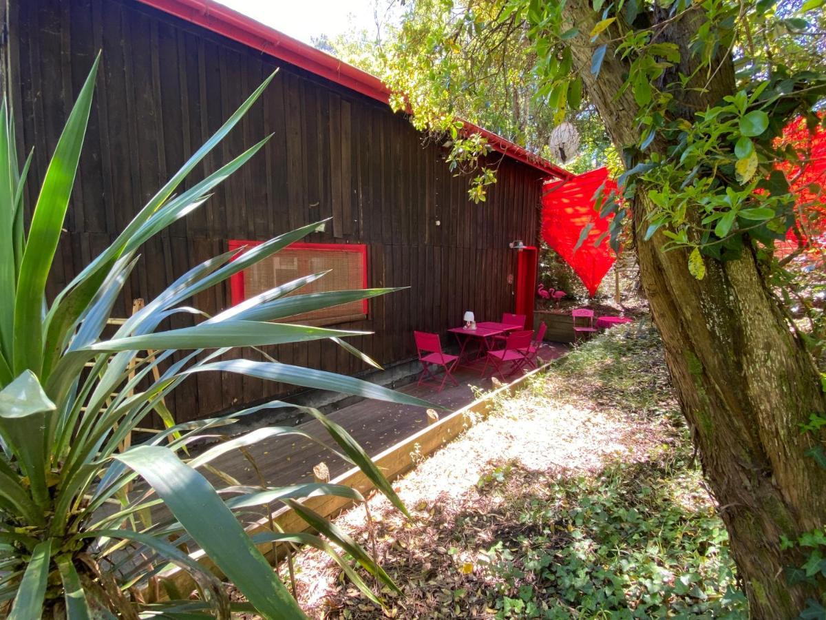 Appartement Le Loft au-dessus des Pins à Lacanau Extérieur photo