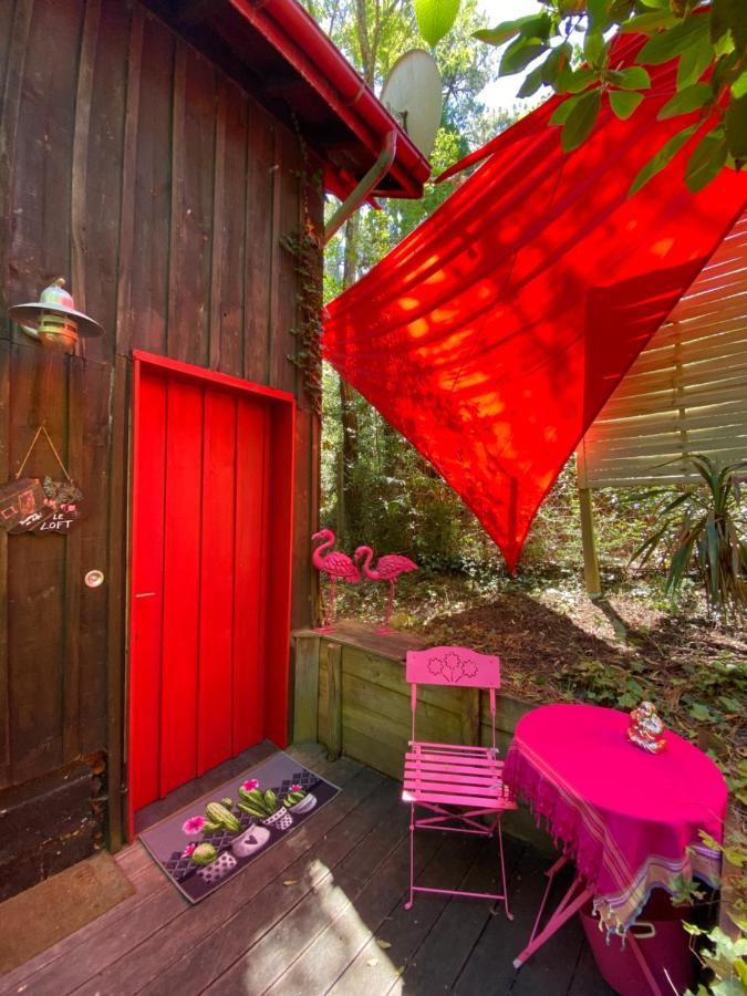 Appartement Le Loft au-dessus des Pins à Lacanau Extérieur photo