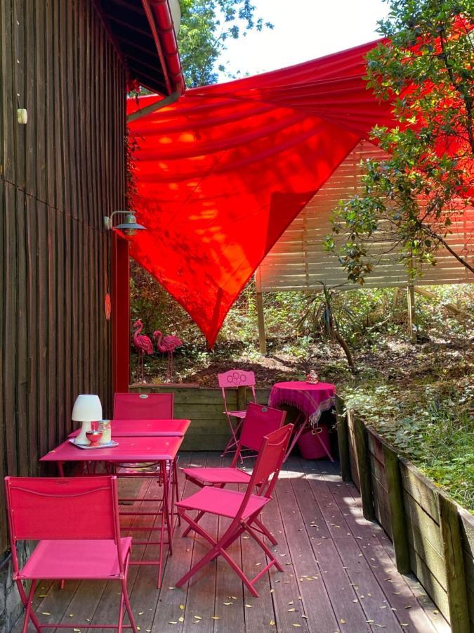 Appartement Le Loft au-dessus des Pins à Lacanau Extérieur photo