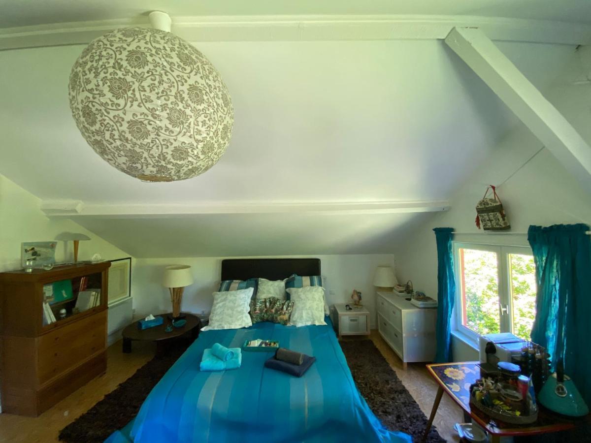 Appartement Le Loft au-dessus des Pins à Lacanau Extérieur photo